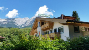 Гостиница Appartementpark Wilder Kaiser Wohnung Czink, Шеффау-Ам-Вильден-Кайзер
